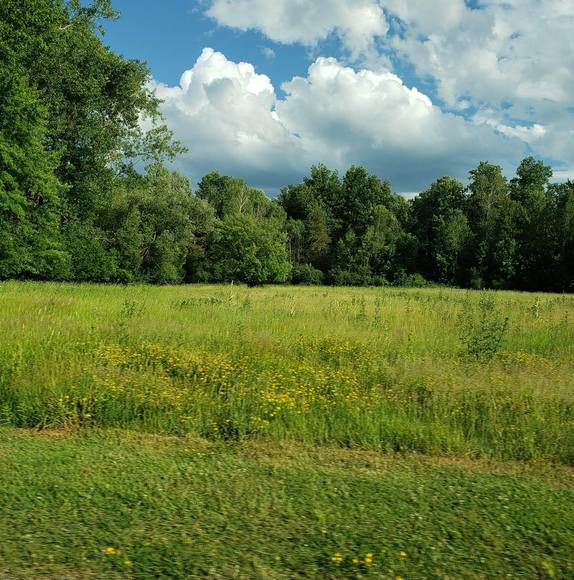 Meet your Posher, Francoise - Picture 1 of 1